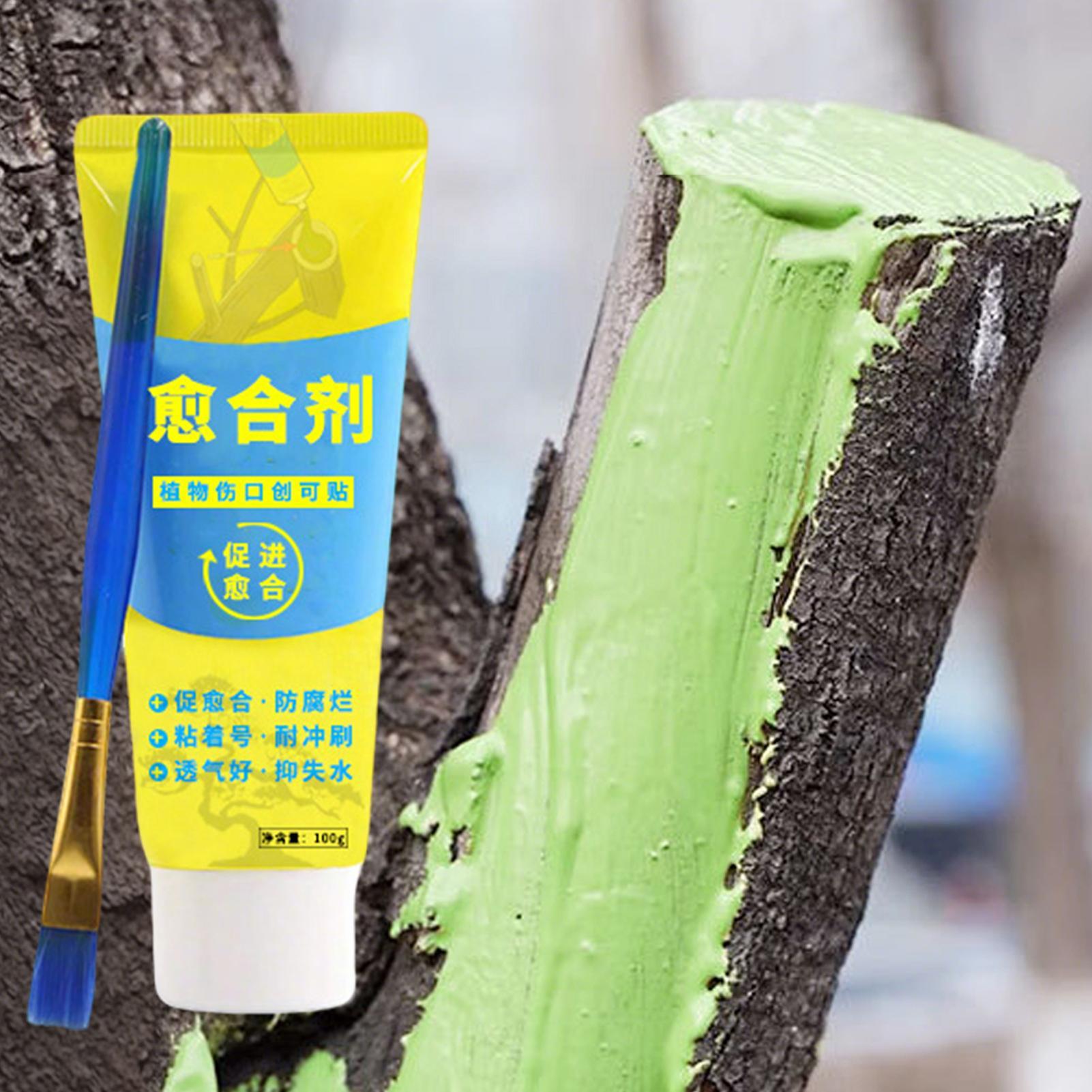 Plant Pruning Sealer Agent Pla - Bonsai Garden Tree recension och pris