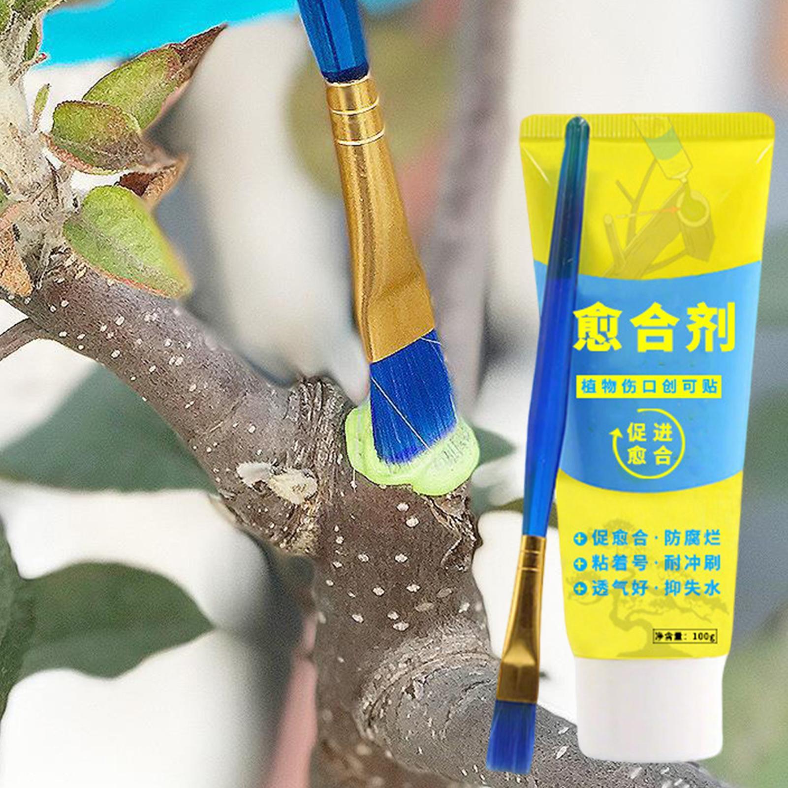Plant Pruning Sealer Agent Pla - Bonsai Garden Tree recension och pris