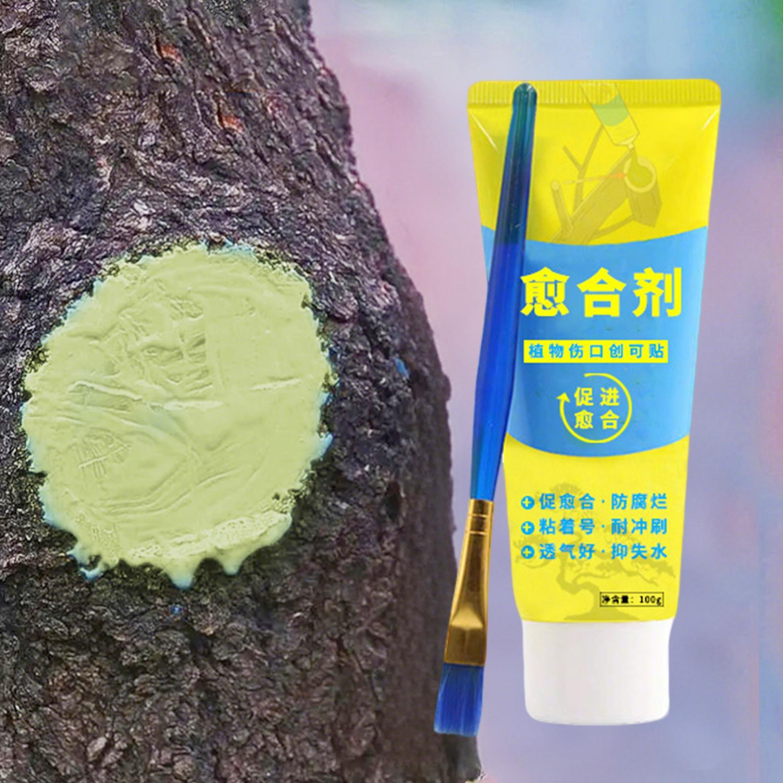 Plant Pruning Sealer Agent Pla - Bonsai Garden Tree recension och pris