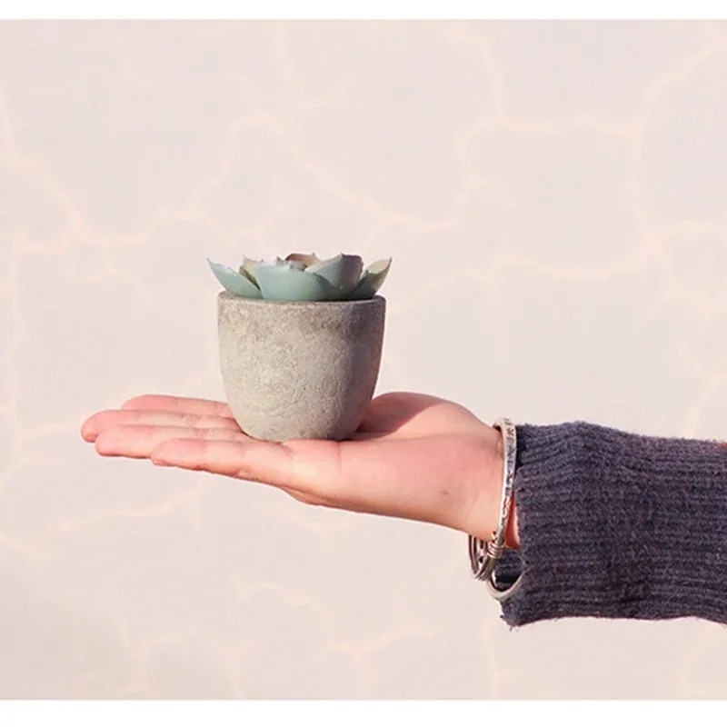 Mini Artificial Aloe Plants Bo - Bonsai Garden Sushi recension och pris