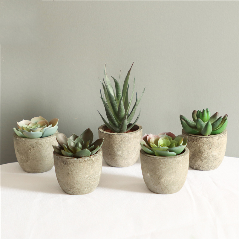 Mini Artificial Aloe Plants Bo - Bonsai Garden Sushi recension och pris