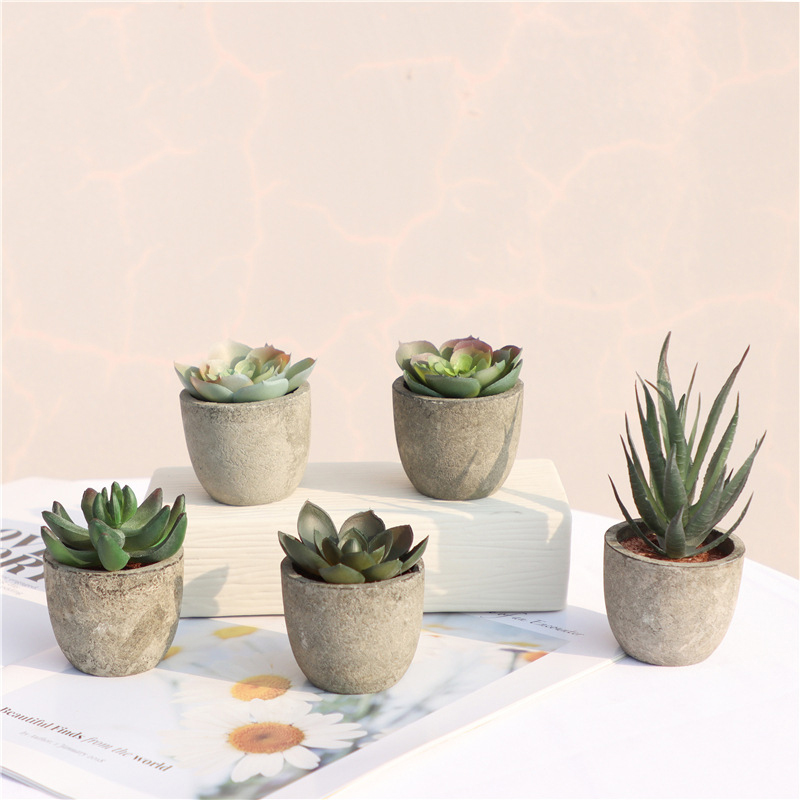Mini Artificial Aloe Plants Bo - Bonsai Garden Sushi recension och pris