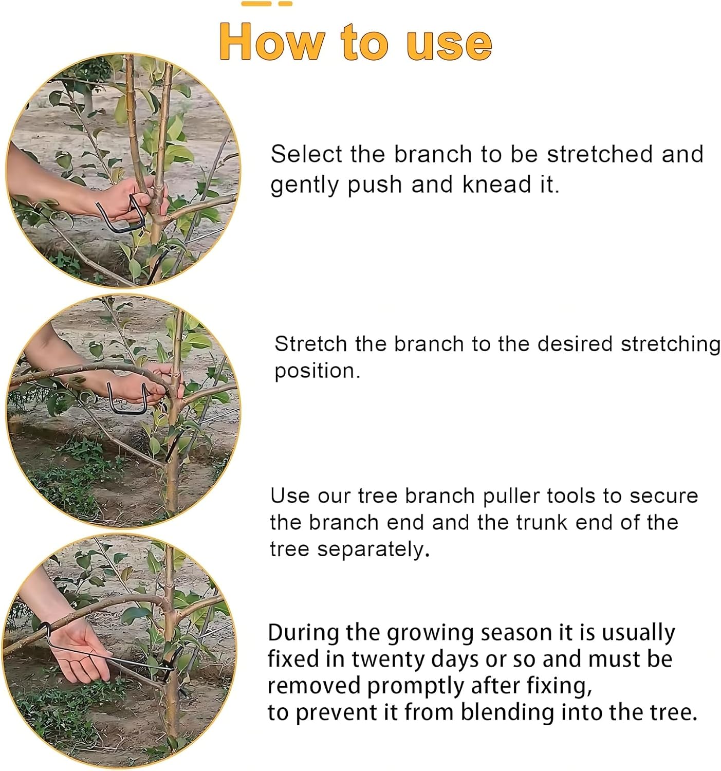 Adjustable Fruit Tree Branch S - Bonsai Garden Tree recension och pris