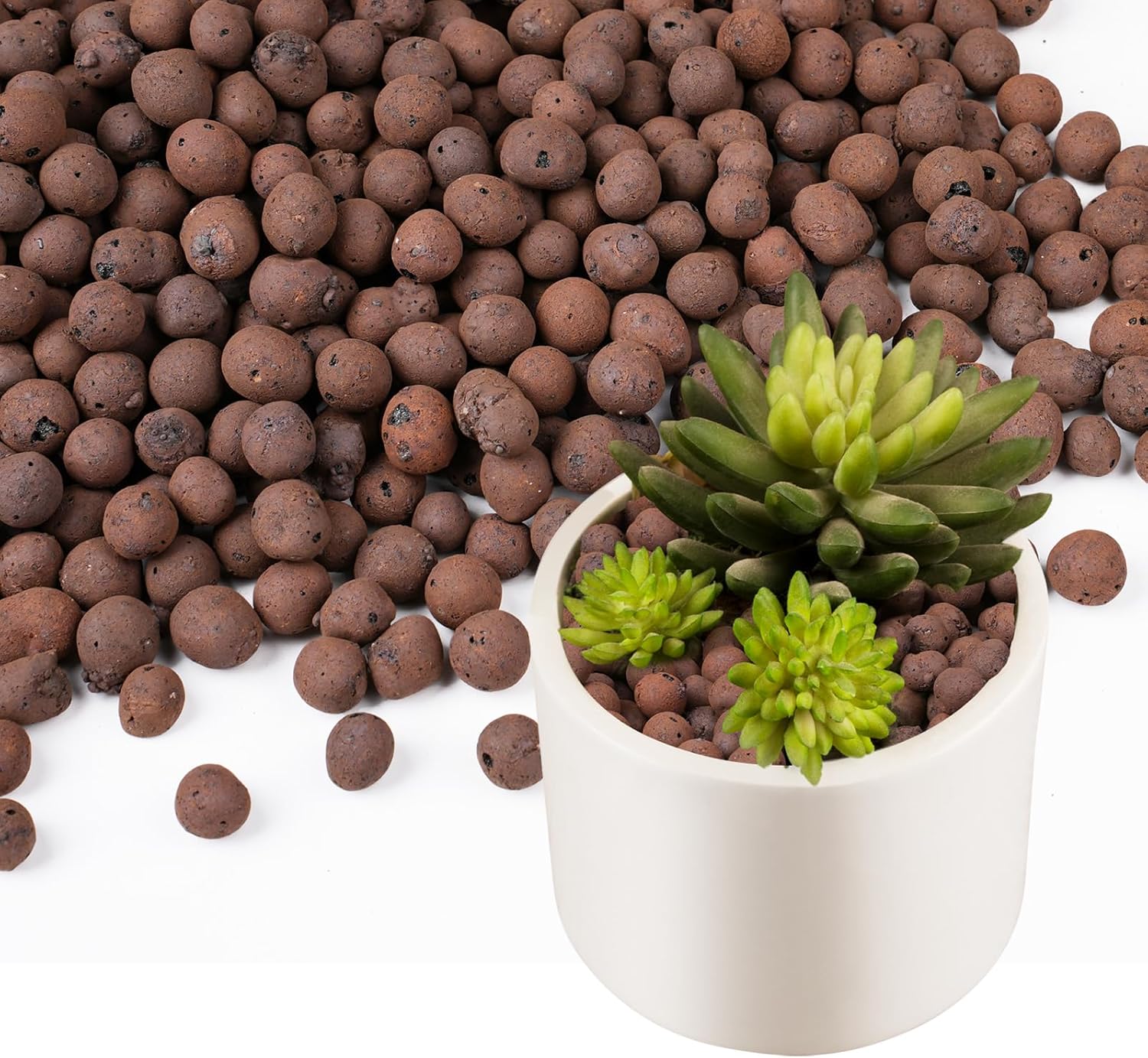 100/200G Clay Pebbles for Plan - Sphagnum Moss Bag recension och pris