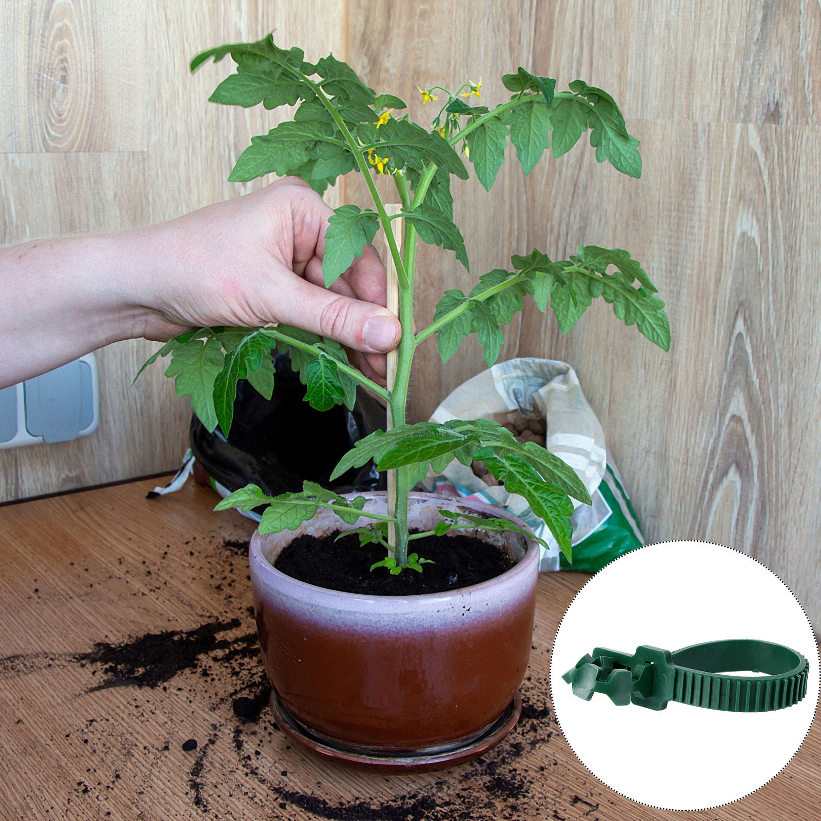 20Pcs Vine Fixing Buckle Garde - Bonsai Garden Tree recension och pris
