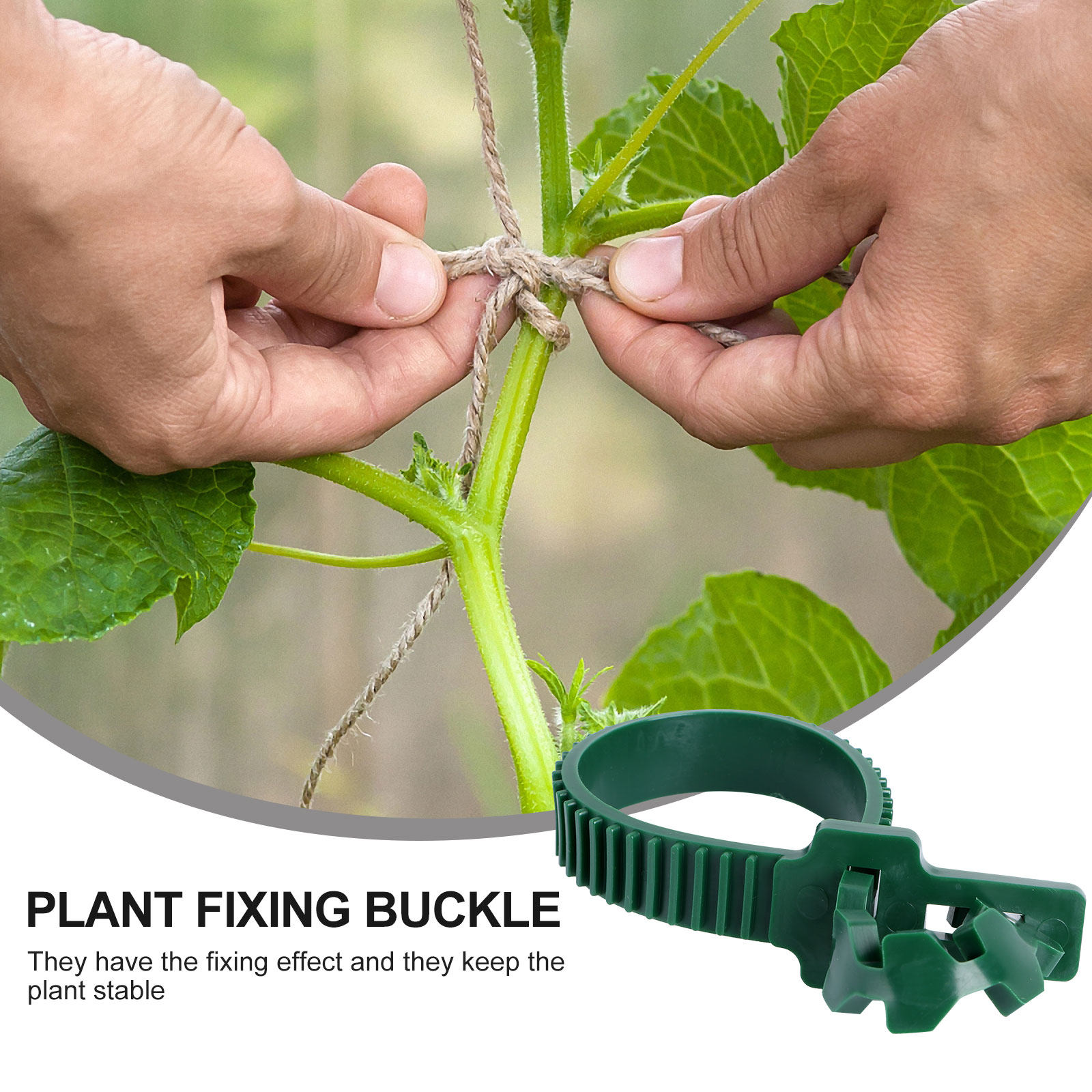 20Pcs Vine Fixing Buckle Garde - Bonsai Garden Tree recension och pris