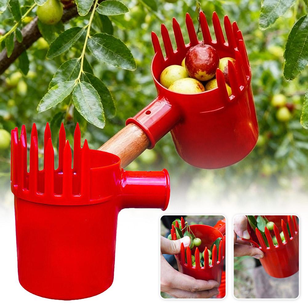 Fruit Picker Tool Portable Bas - Bonsai Garden Tree recension och pris