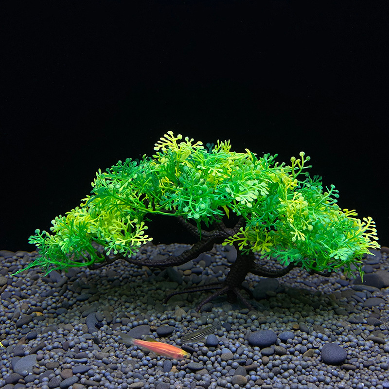 Aquarium bonsai tree, plant, f - Bonsai Garden Sushi recension och pris