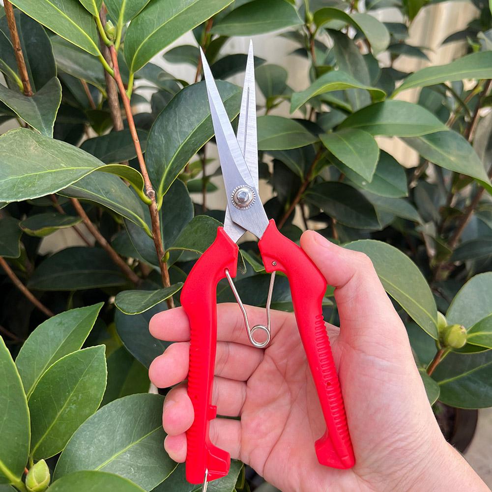 Pro Garden Pruning Shears Leng - Bonsai Garden Tree recension och pris