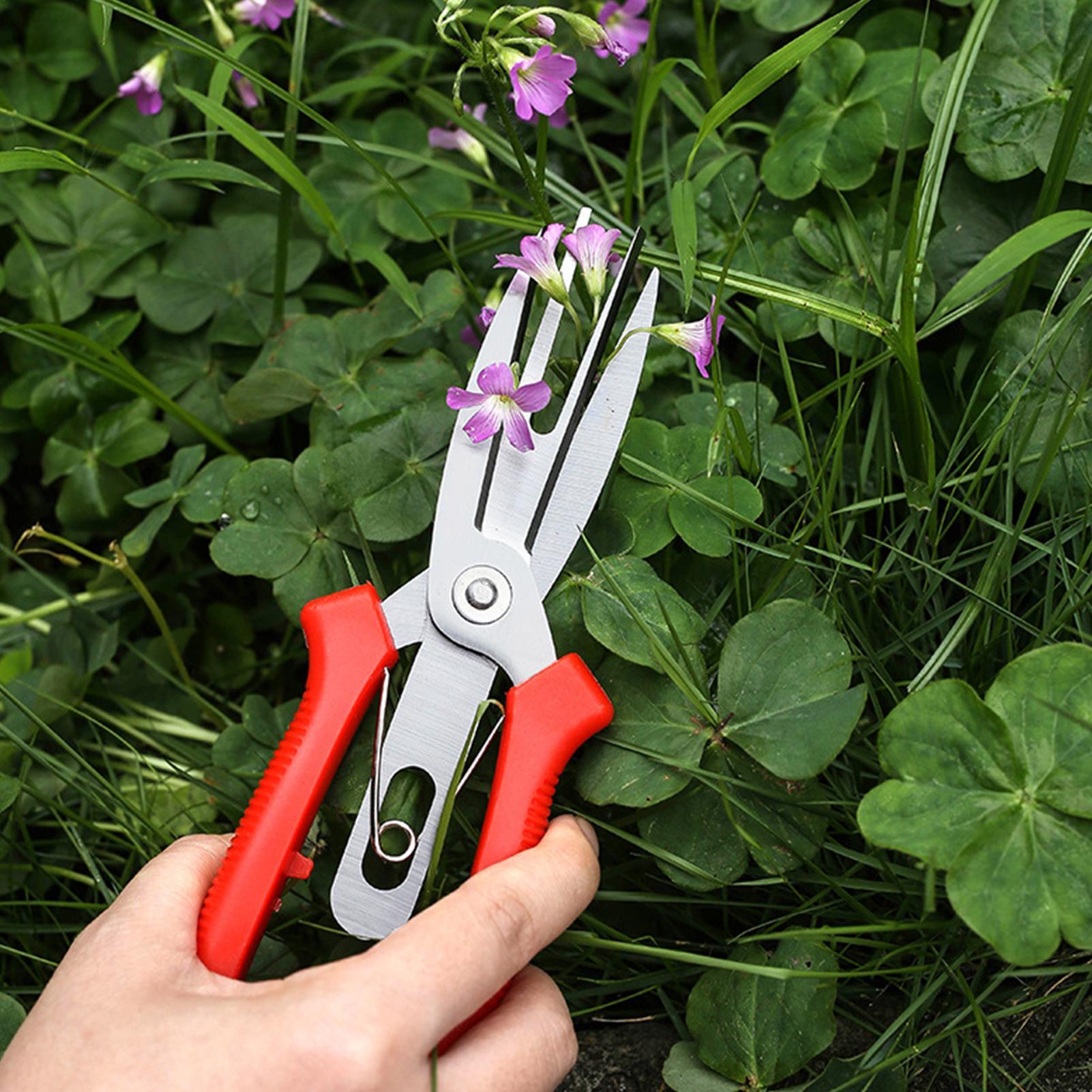 Garden Shears Stainless Steel  - Bonsai Garden Tree recension och pris