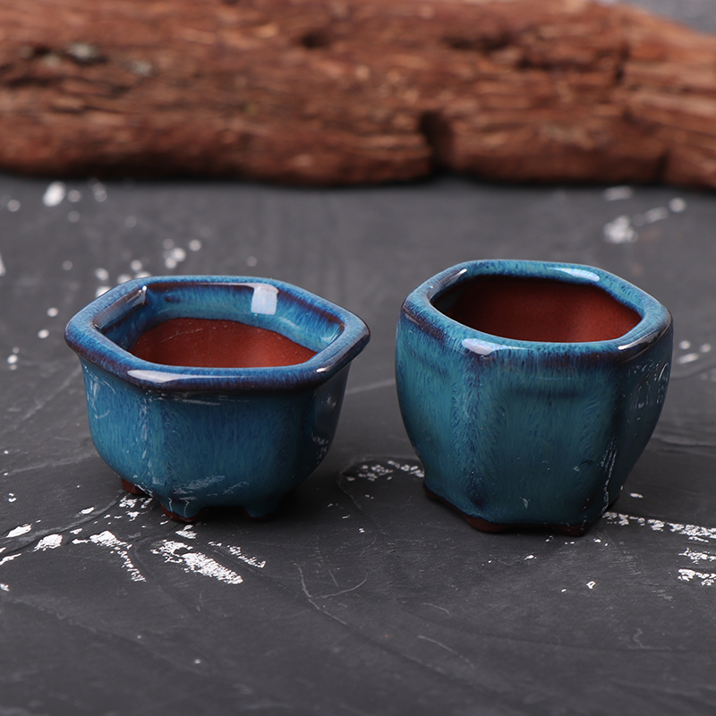 *Mini Plant Pots Flower Pot Wi - Bonsai Garden With Sand recension och pris