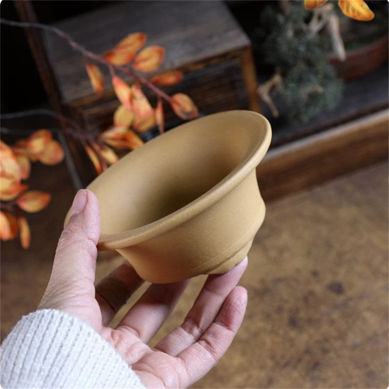 Crude Pottery Small Swallow Po - Bonsai Garden With Sand recension och pris